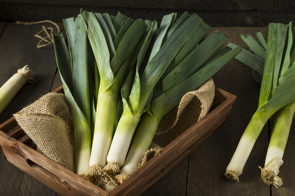 Ramen Ingredient Leek