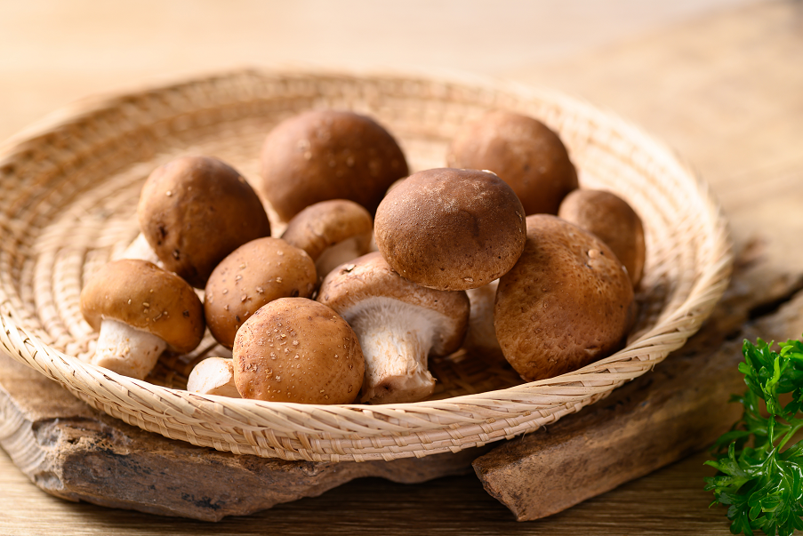 Ramen Ingredient Guide Shitake Mushroom