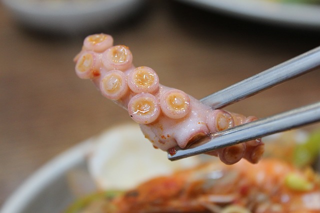 Ramen Ingredient Octopus Tentacle